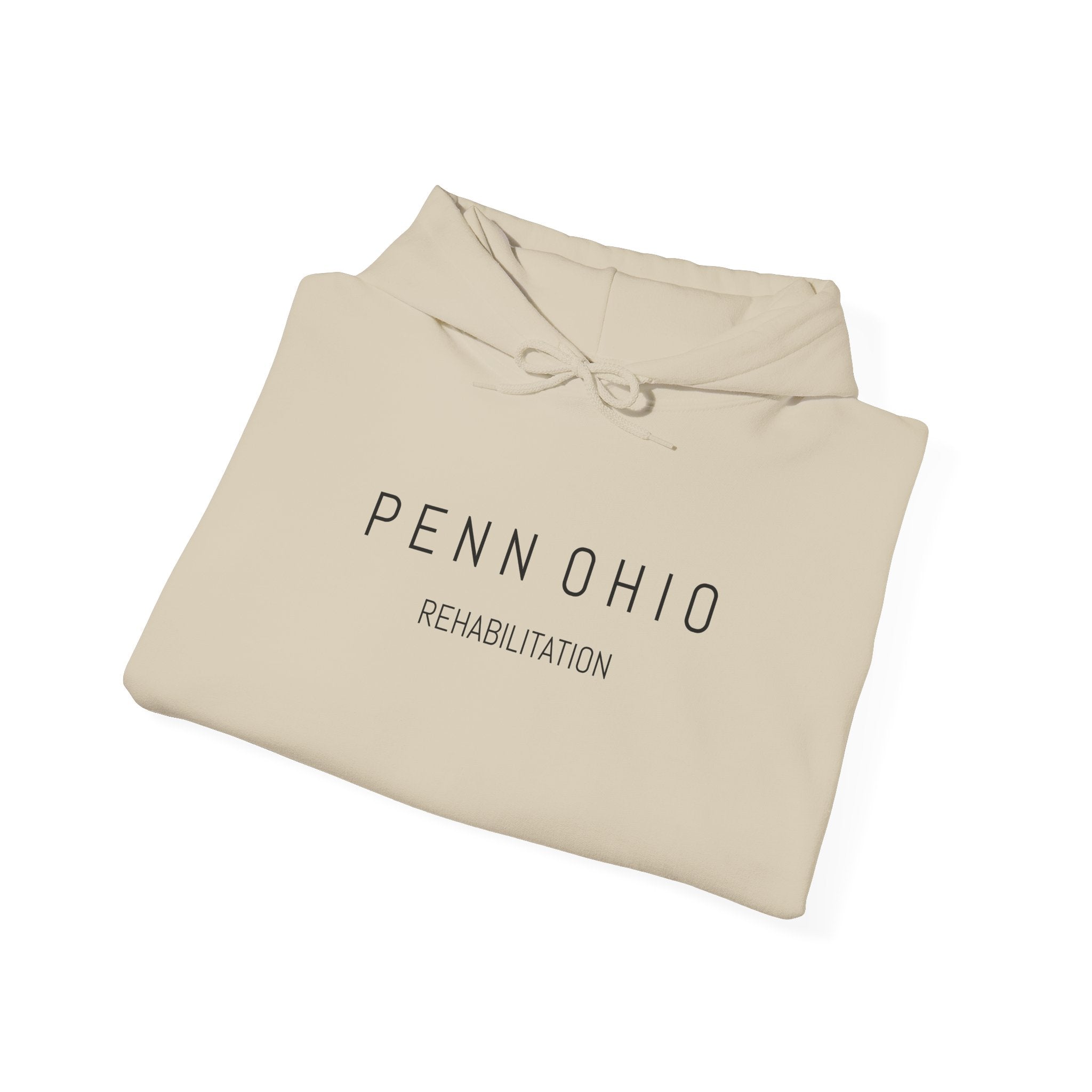 Cozy Unisex Hooded Sweatshirt, Soft Casual Wear, Perfect for Fall, Gift for Him/Her, Everyday Comfort, Layering Essential