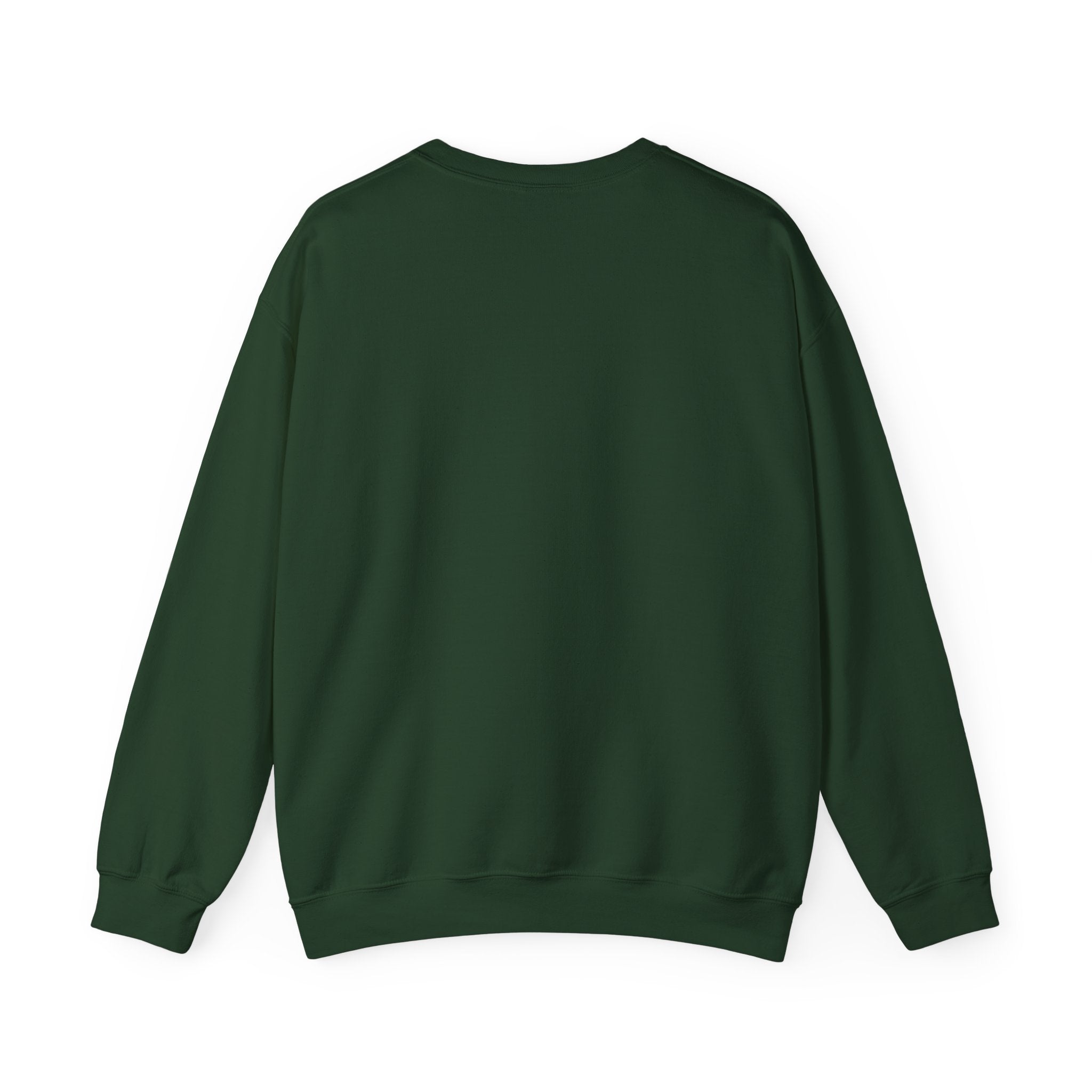 Cozy Rehabilitation Crewneck Sweatshirt, Unisex Sweatshirt, Fall Fashion, Gift for Him/Her, Casual Comfort Wear, Autumn Apparel