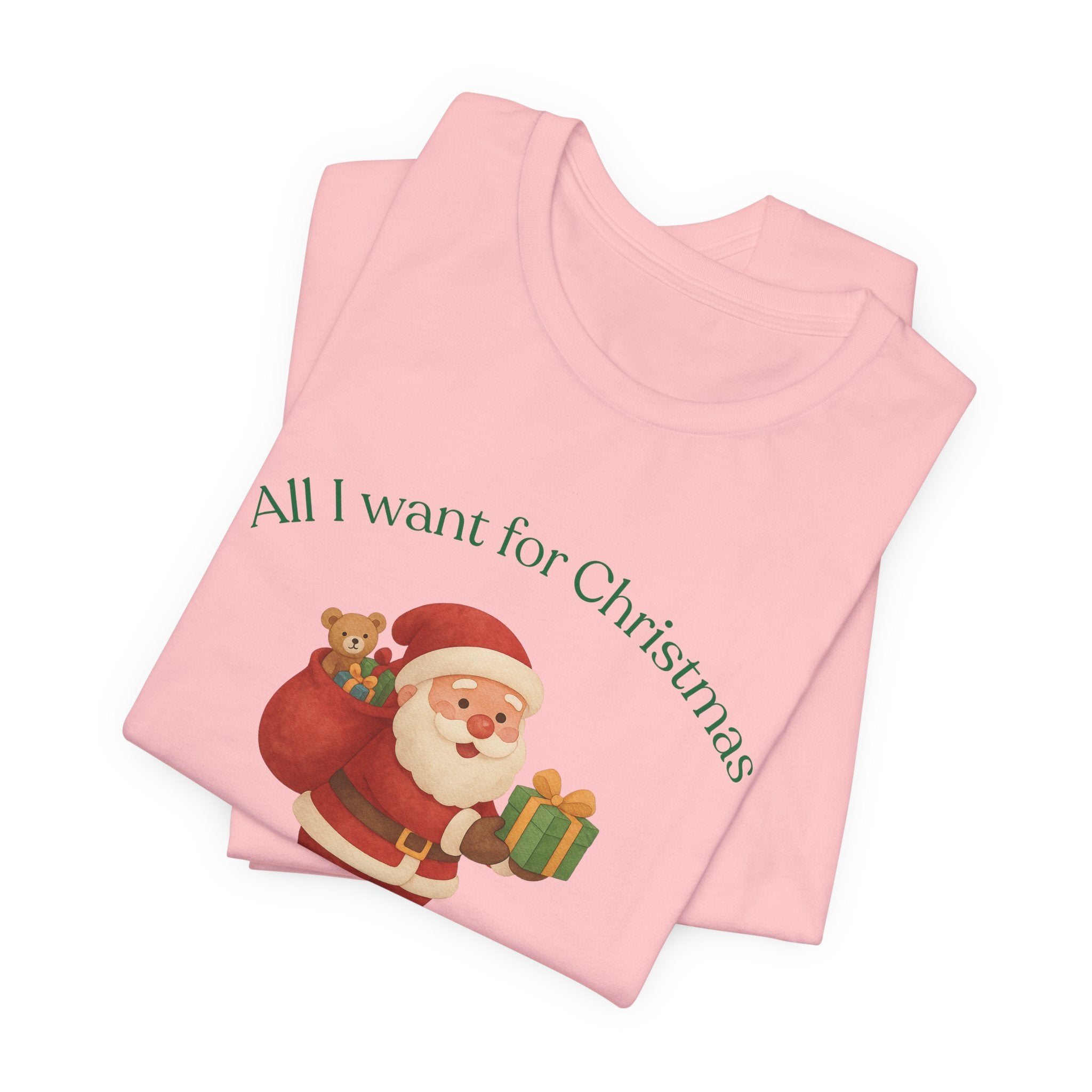 Christmas Santa 'All I Want for Christmas Is Physical Therapy' Tee