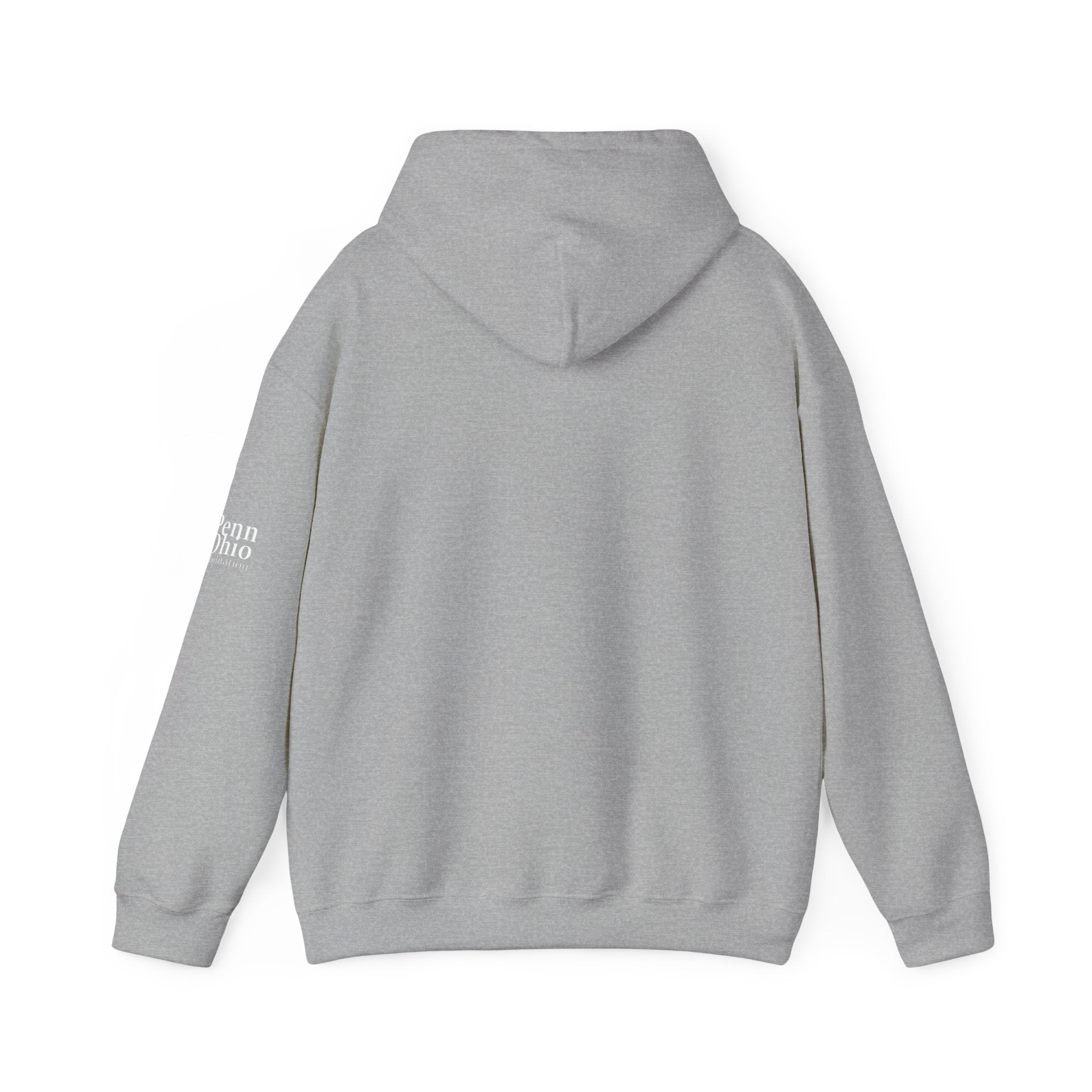 Cozy Unisex Hooded Sweatshirt, Soft Casual Wear, Perfect for Fall, Gift for Him/Her, Everyday Comfort, Layering Essential
