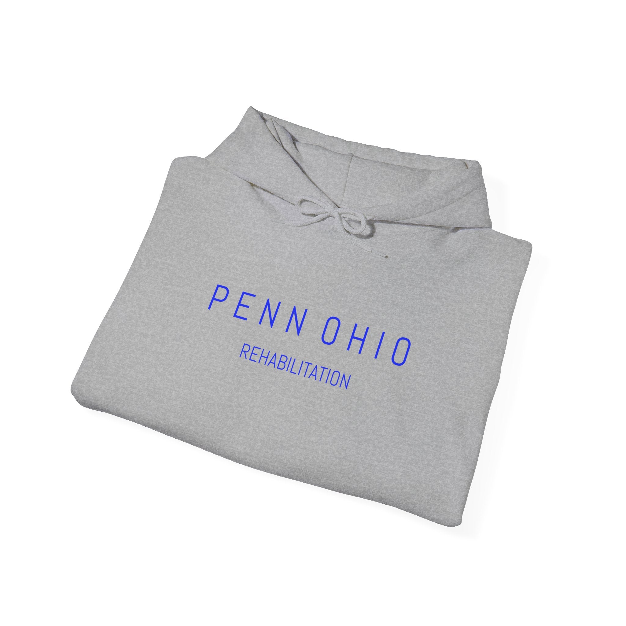 Cozy Unisex Hooded Sweatshirt, Soft Casual Wear, Perfect for Fall, Gift for Him/Her, Everyday Comfort, Layering Essential