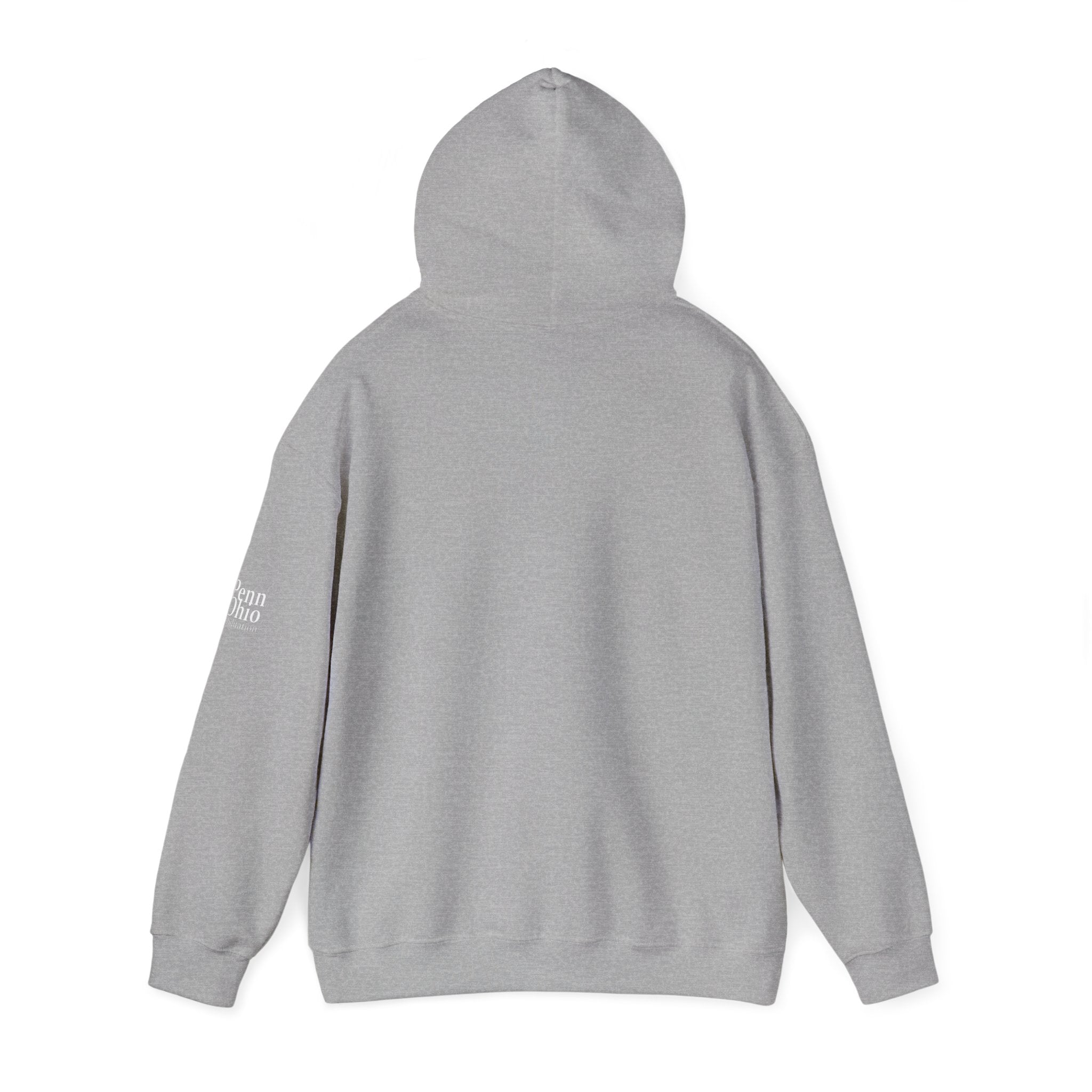 Cozy Unisex Hooded Sweatshirt, Soft Casual Wear, Perfect for Fall, Gift for Him/Her, Everyday Comfort, Layering Essential