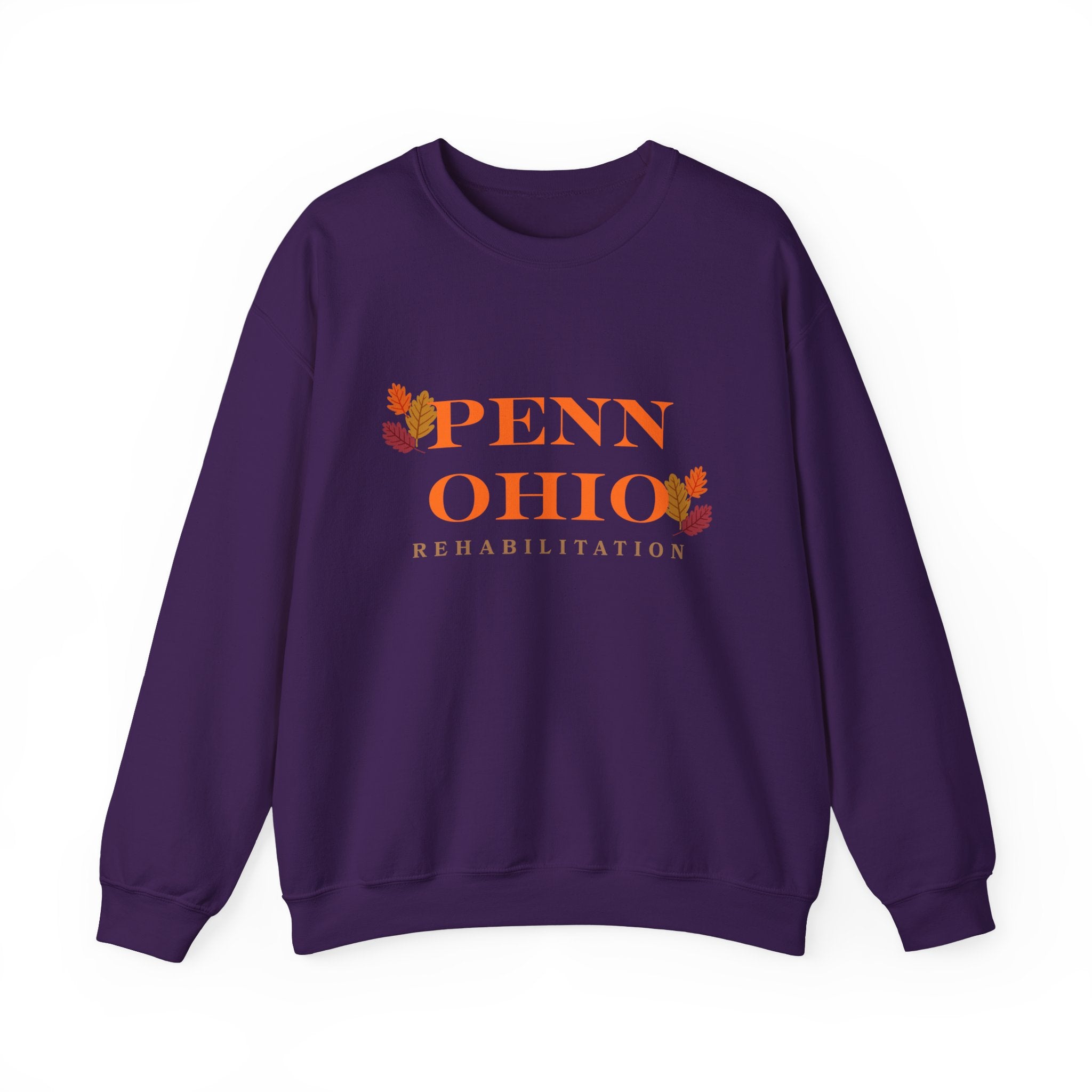 Cozy Rehabilitation Crewneck Sweatshirt, Unisex Sweatshirt, Fall Fashion, Gift for Him/Her, Casual Comfort Wear, Autumn Apparel