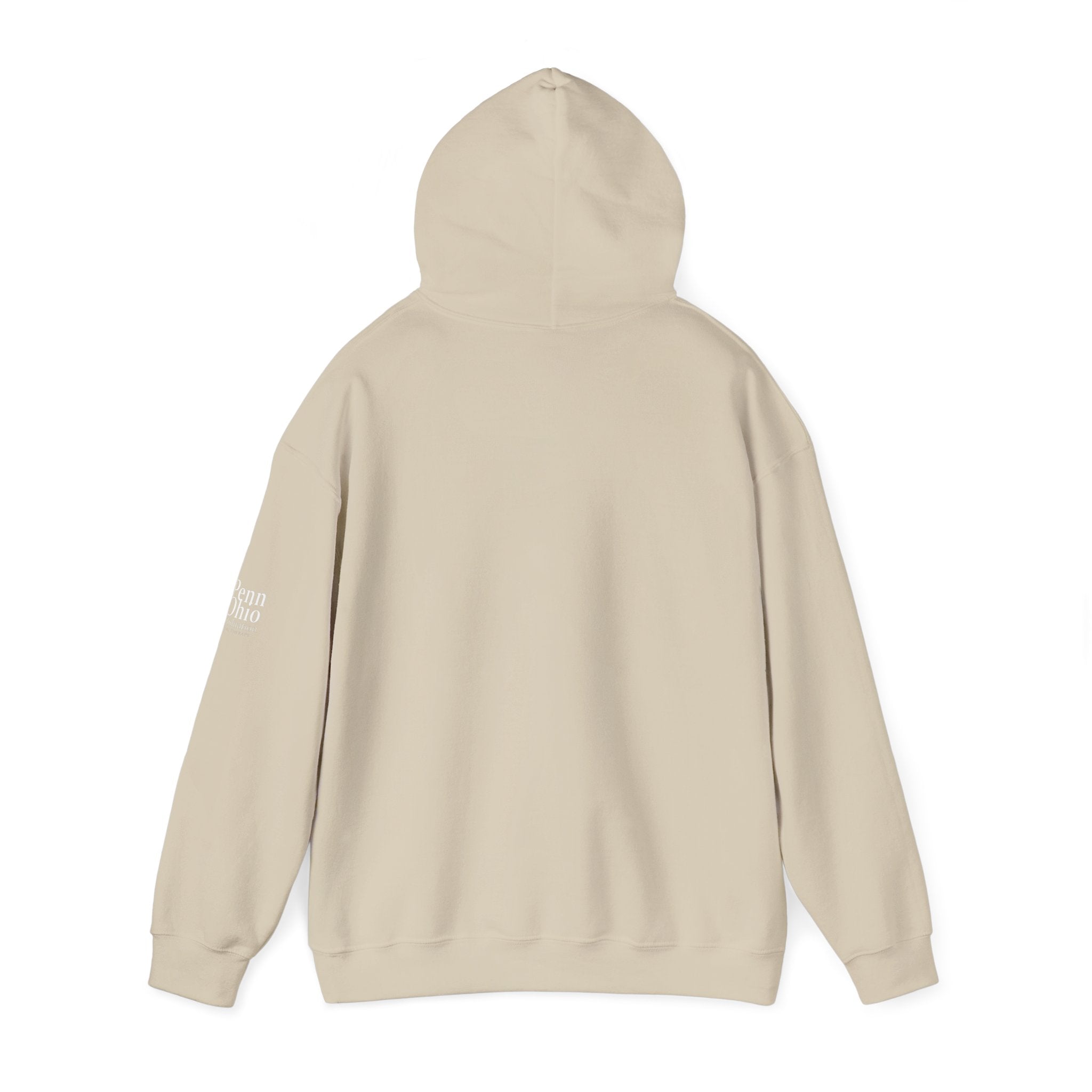 Cozy Unisex Hooded Sweatshirt, Soft Casual Wear, Perfect for Fall, Gift for Him/Her, Everyday Comfort, Layering Essential