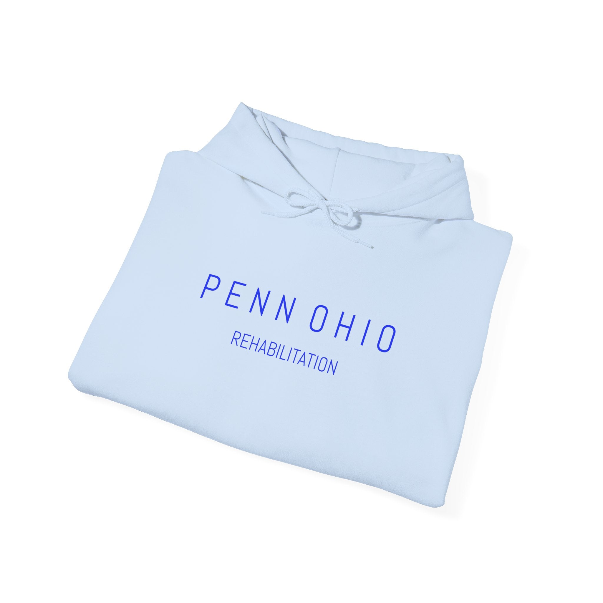 Cozy Unisex Hooded Sweatshirt, Soft Casual Wear, Perfect for Fall, Gift for Him/Her, Everyday Comfort, Layering Essential