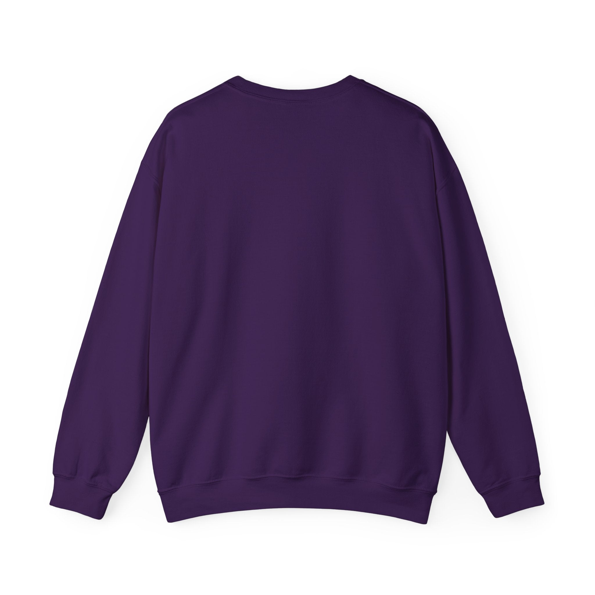 Cozy Rehabilitation Crewneck Sweatshirt, Unisex Sweatshirt, Fall Fashion, Gift for Him/Her, Casual Comfort Wear, Autumn Apparel