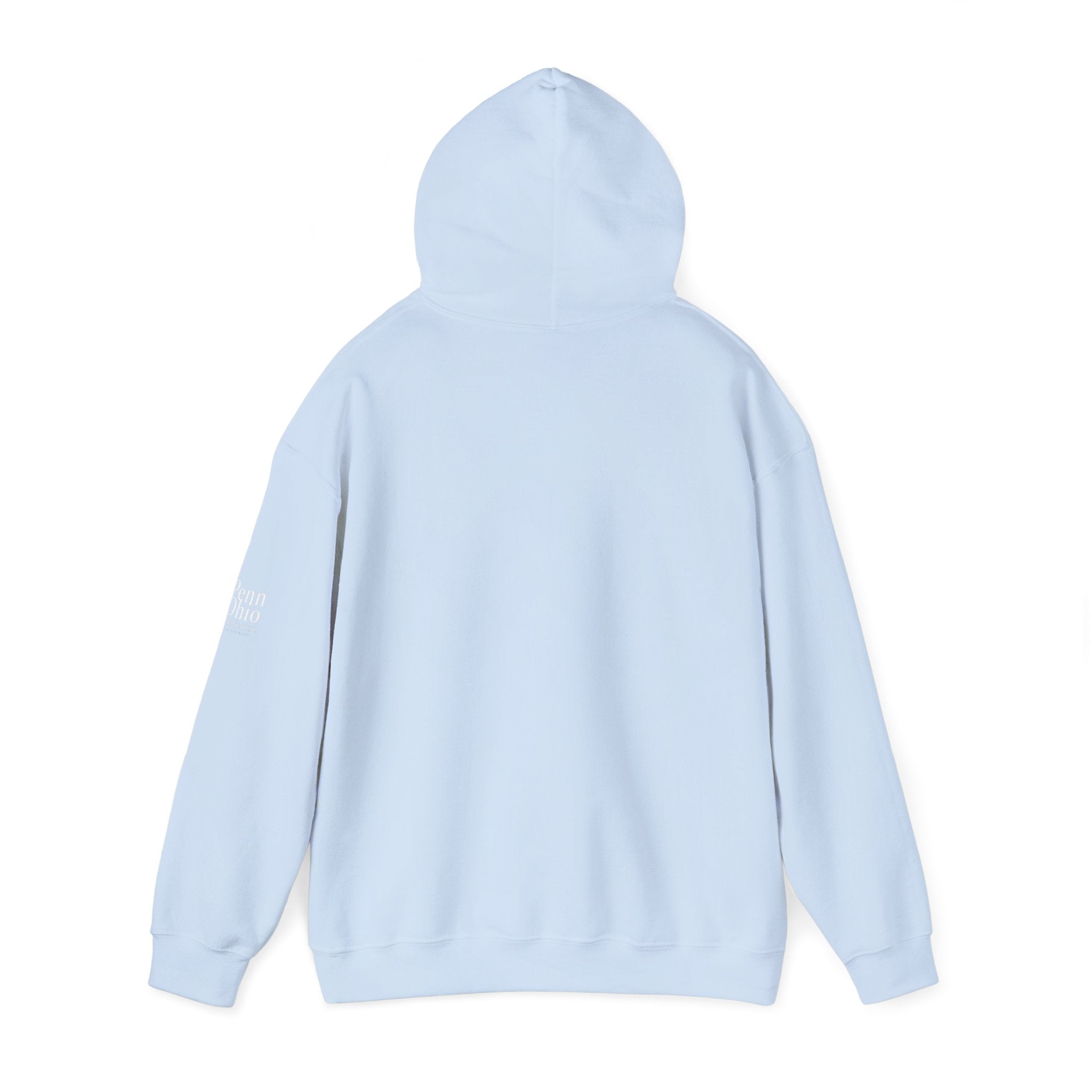 Cozy Unisex Hooded Sweatshirt, Soft Casual Wear, Perfect for Fall, Gift for Him/Her, Everyday Comfort, Layering Essential